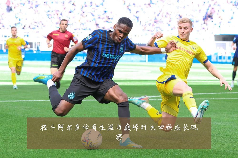 格斗阿尔多传奇生涯与巅峰对决回顾成长观察